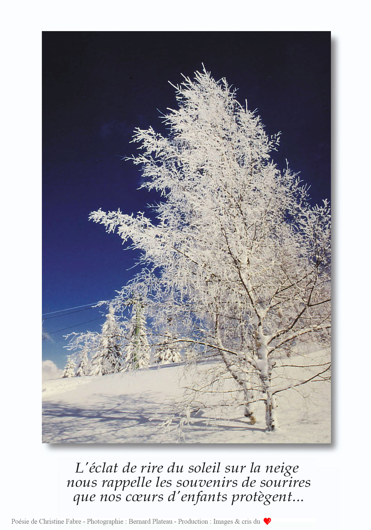 L-eclat-de-rire du soleil sur la neige - Bernard Plateau