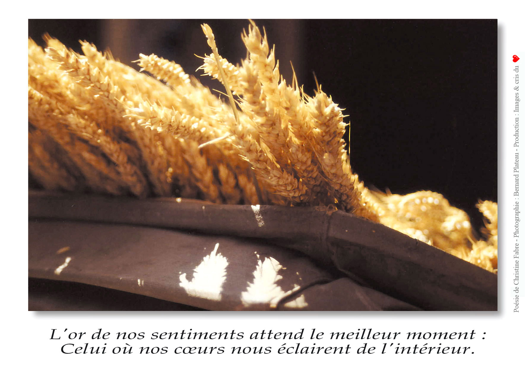 L-or-de-nos-sentiments - Bernard Plateau