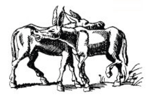 Illustrations pour Éloge de la folie - Érasme