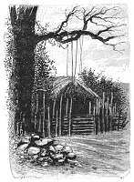 Illustrations pour Marins et missionnaires : Récit de la prise de possession de Nouvelle-Calédonie – 1843 / 1853 - Albert de Salinis