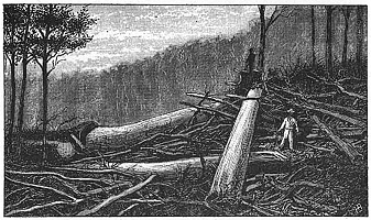 Illustrations pour Marins et missionnaires : Récit de la prise de possession de Nouvelle-Calédonie – 1843 / 1853 - Albert de Salinis
