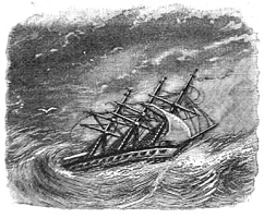Illustrations pour Marins et missionnaires : Récit de la prise de possession de Nouvelle-Calédonie – 1843 / 1853 - Albert de Salinis