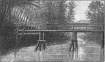Illustrations pour Marins et missionnaires : Récit de la prise de possession de Nouvelle-Calédonie – 1843 / 1853 - Albert de Salinis