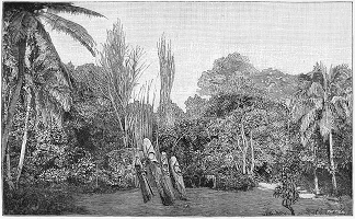 Illustrations pour Marins et missionnaires : Récit de la prise de possession de Nouvelle-Calédonie – 1843 / 1853 - Albert de Salinis