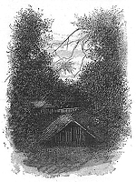 Illustrations pour Marins et missionnaires : Récit de la prise de possession de Nouvelle-Calédonie – 1843 / 1853 - Albert de Salinis