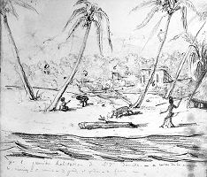 Illustrations pour Une graine en terre kanak : Journal inédit (1843 – 1853) et correspondance de Mgr Douarre - Michel Soulard