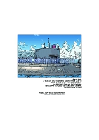 Illustrations pour La morsure du requin - Mickael Panol & Amaury Esteban