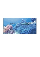 Illustrations pour La morsure du requin - Mickael Panol & Amaury Esteban